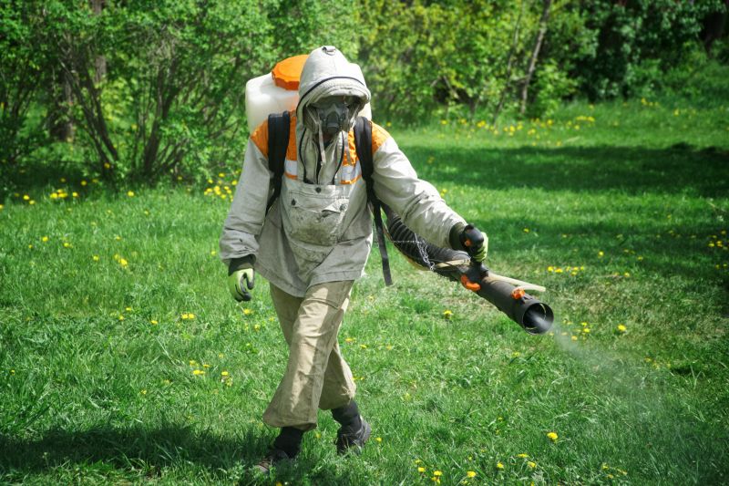 Effective Lizard Extermination Costs — Cost of Lizard Extermination