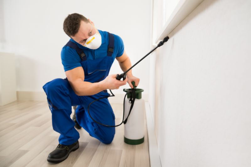 Effective Lizard Extermination Costs — Cost of Lizard Extermination